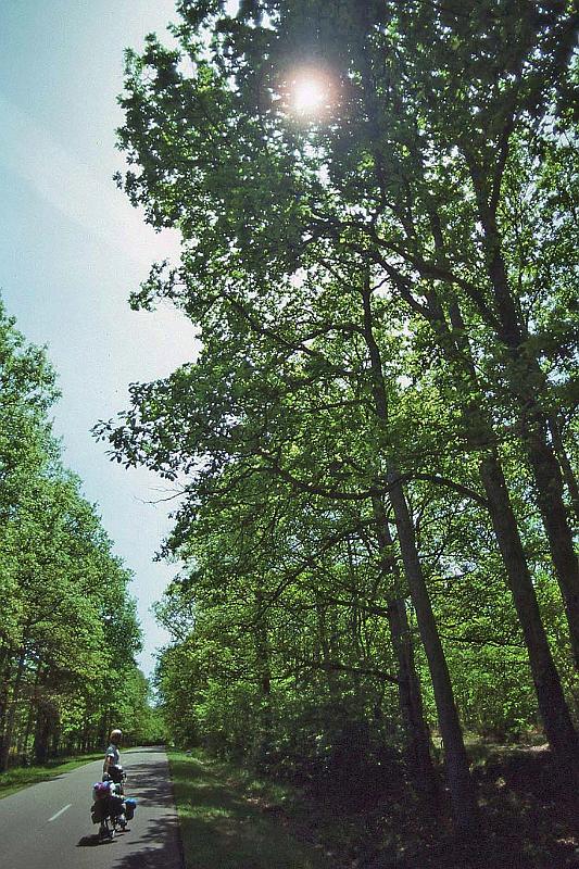 WT 2500 323-24 France 92.jpg